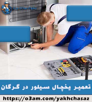 نمایندگی یخچال سیلور در گرگان - متخصص برتر